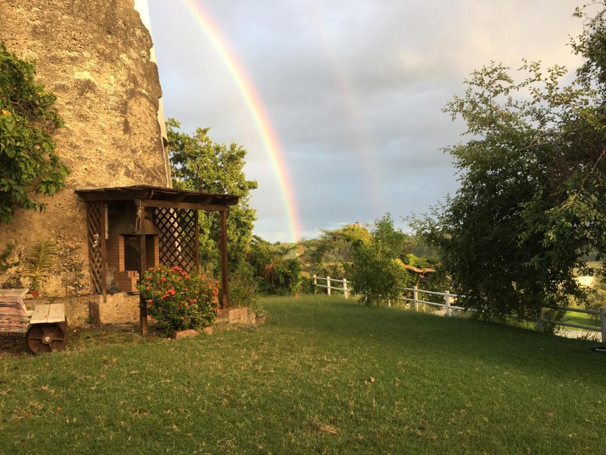 Villa Du Moulin De Saint Felix Le Gosier  Dış mekan fotoğraf