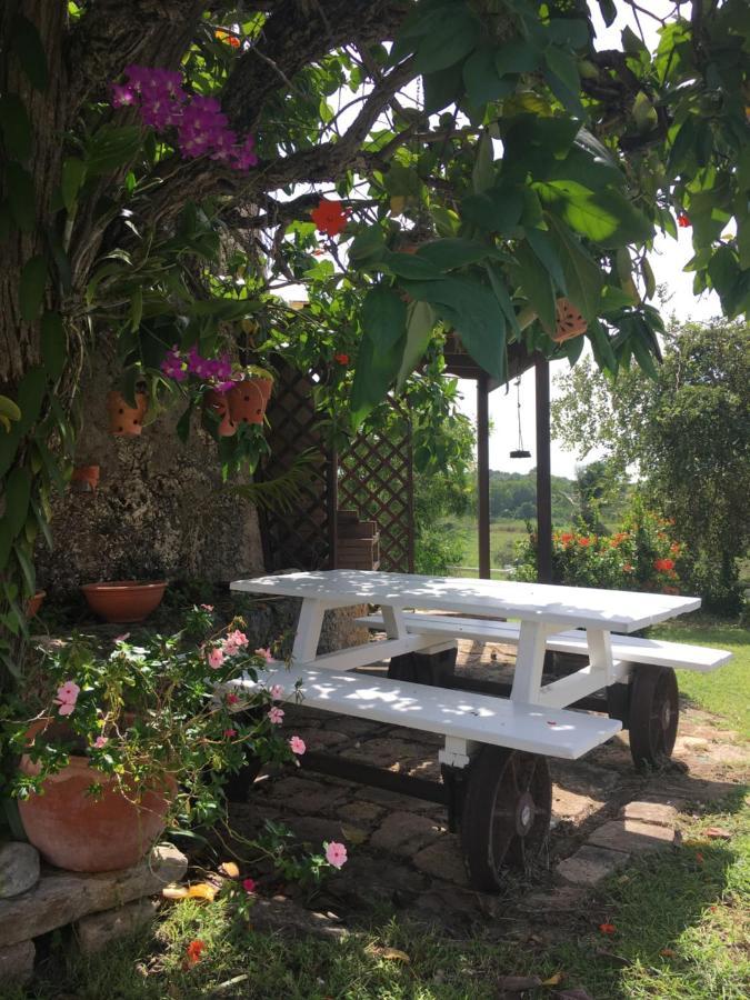 Villa Du Moulin De Saint Felix Le Gosier  Dış mekan fotoğraf