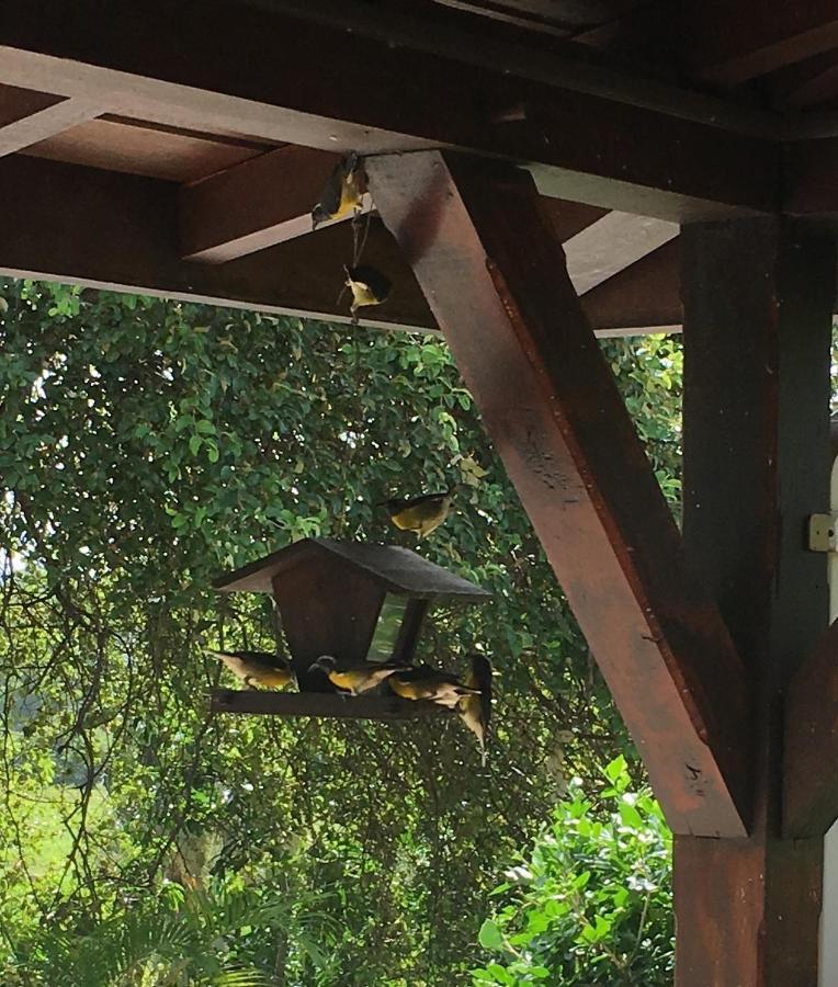 Villa Du Moulin De Saint Felix Le Gosier  Dış mekan fotoğraf